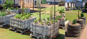 remote-sustainability-garden